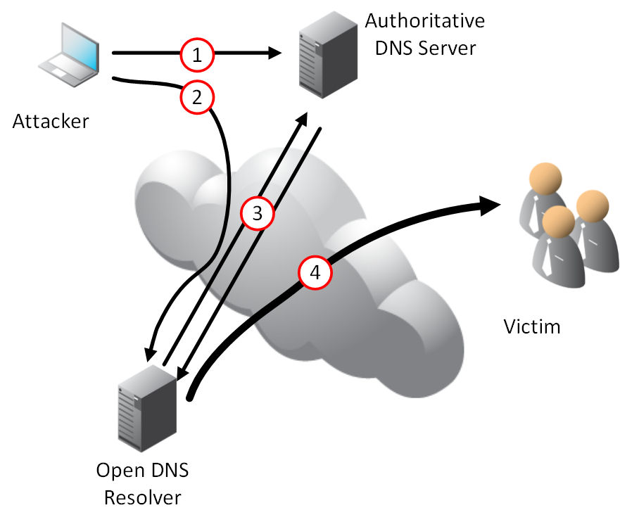 Open DNS Resolver